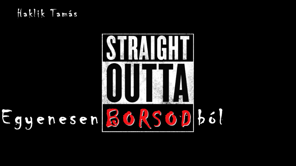 Haklik Tamás - Egyenesen Borsodból novella