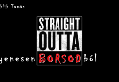 Haklik Tamás - Egyenesen Borsodból novella