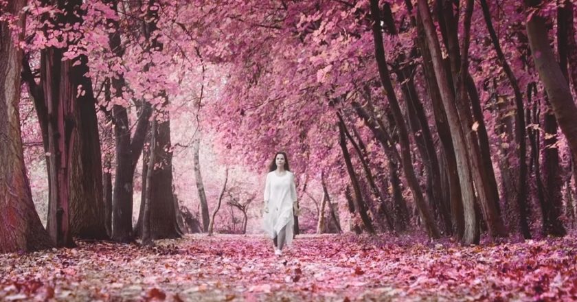 Follow The Flow Plátói videóklip